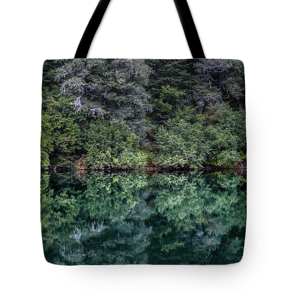 Forest Tote Bag featuring the photograph Find Your Center by Scott Slone