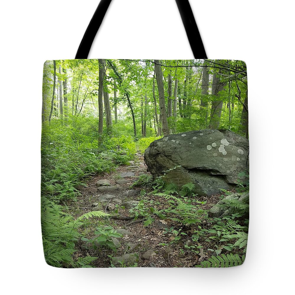 Path Tote Bag featuring the photograph Find Your Path by Vic Ritchey