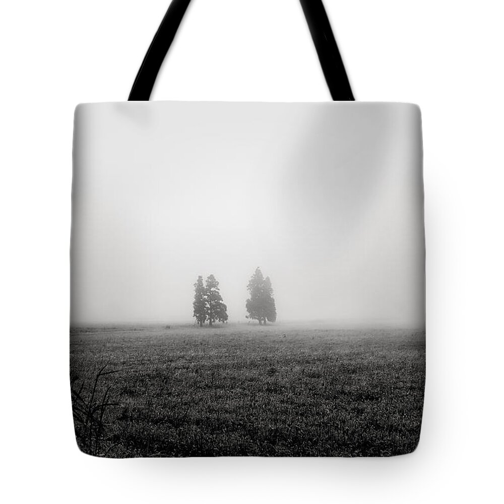 Art Tote Bag featuring the photograph Fine Art Back and White244 by Joseph Amaral