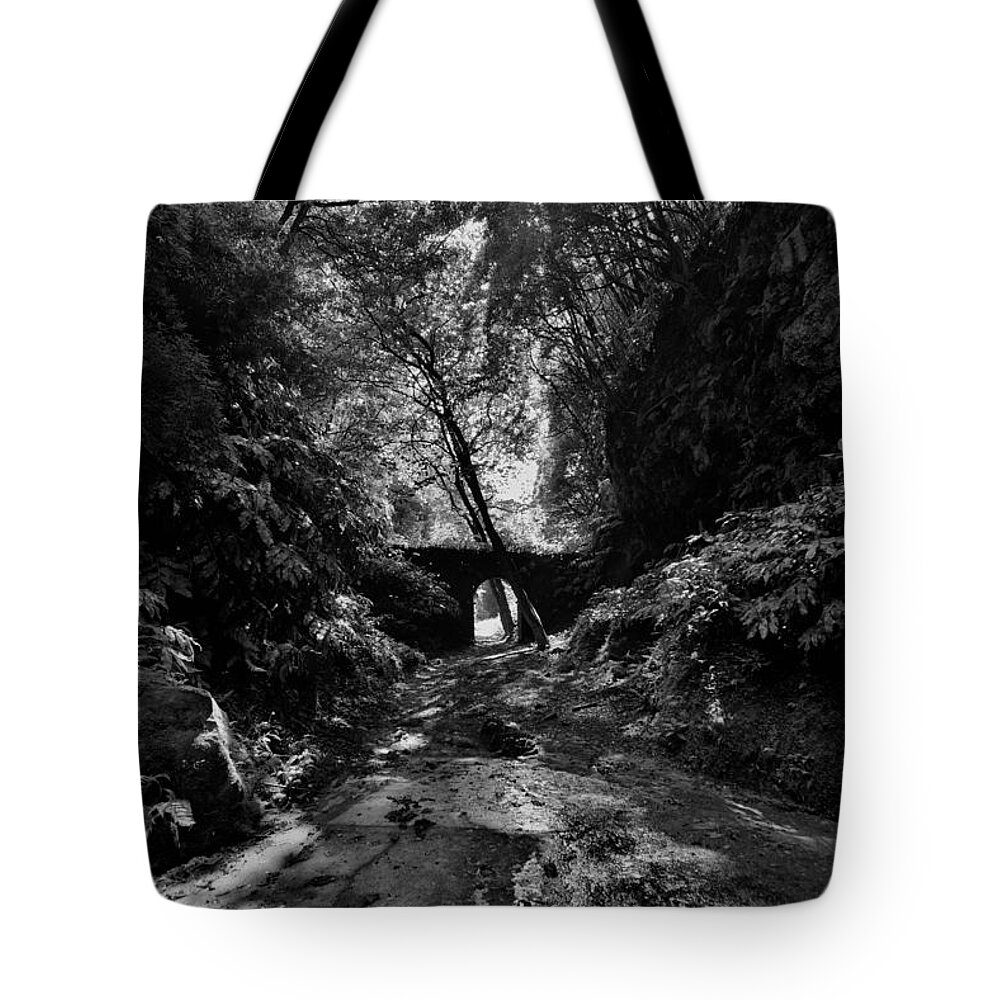 Agriculture Tote Bag featuring the photograph Fine Art Back and White269 by Joseph Amaral