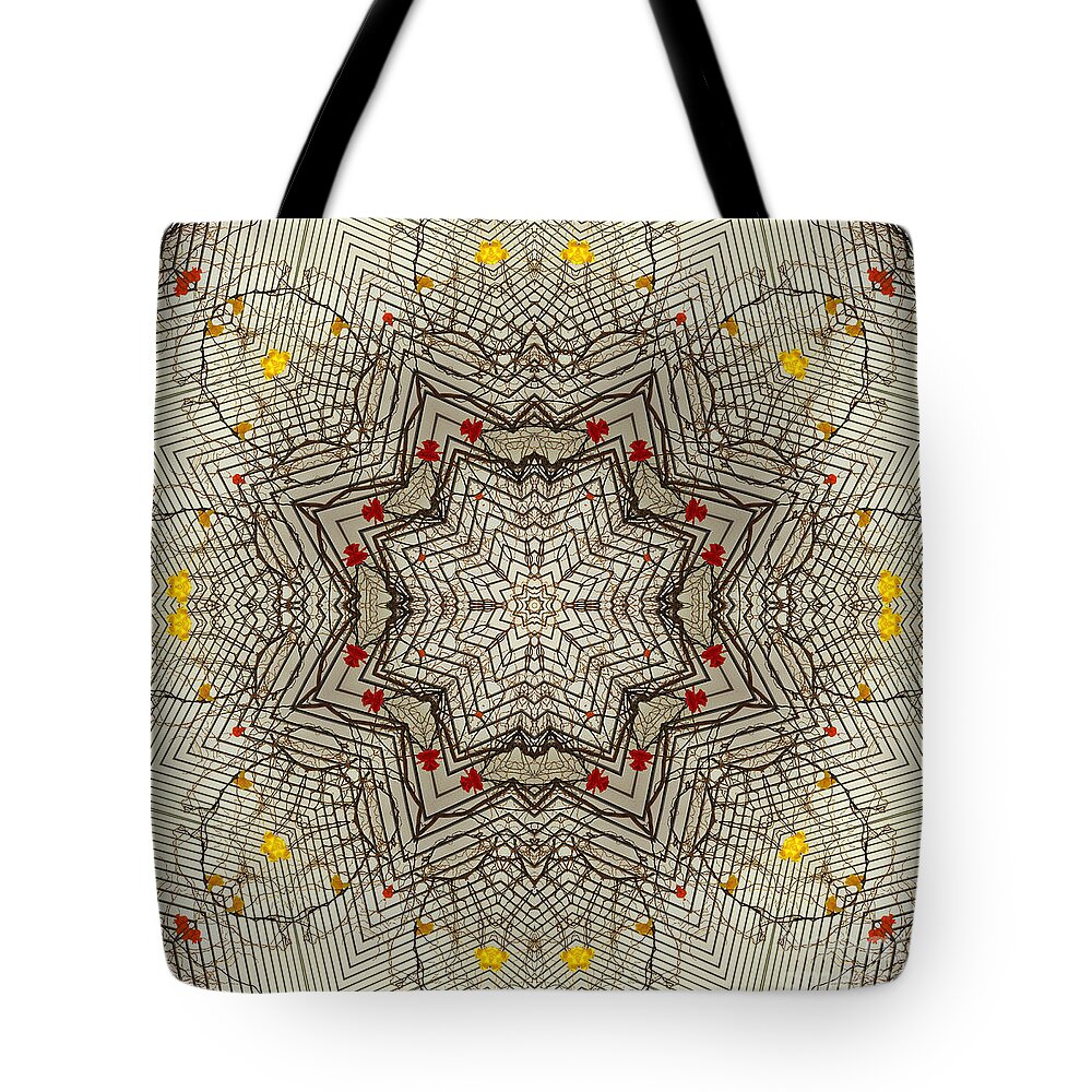 Lines Tote Bag featuring the photograph Fine Lines by Elaine Teague