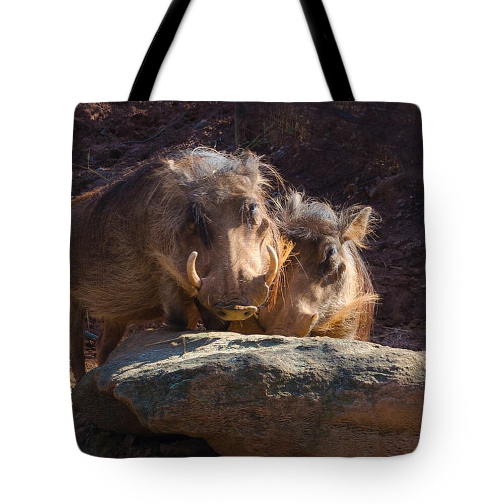 Warthogs Tote Bag featuring the photograph Fine Looking Couple by Donna Brown