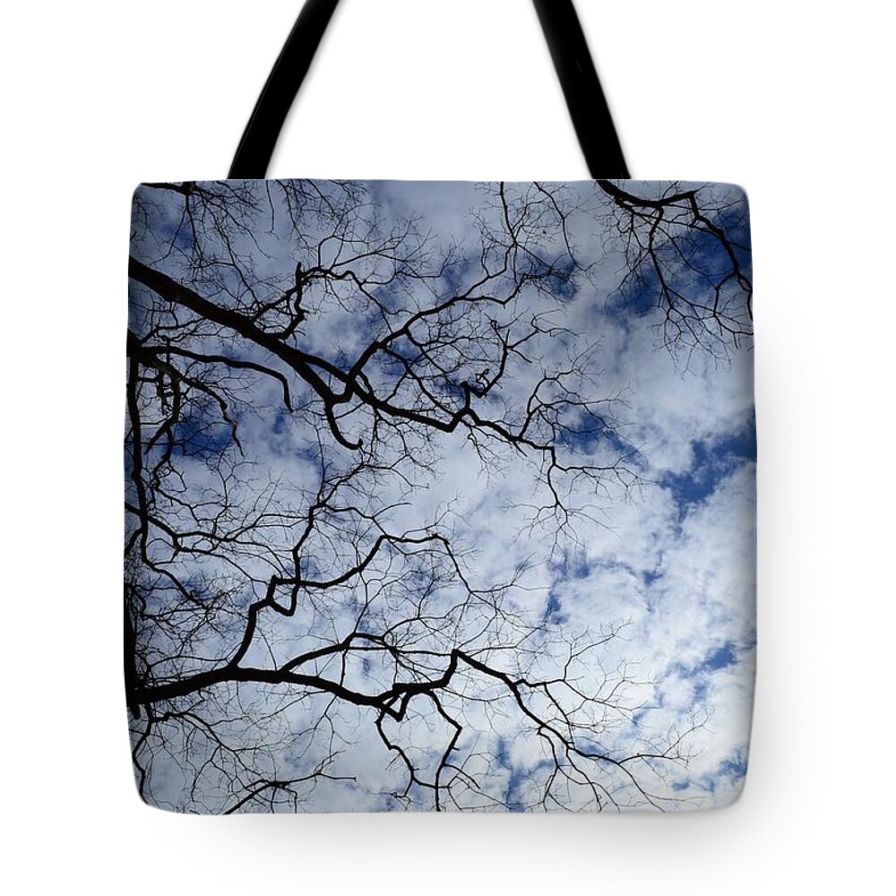 Sky Tote Bag featuring the photograph Fingers in the sky by Stacie Siemsen