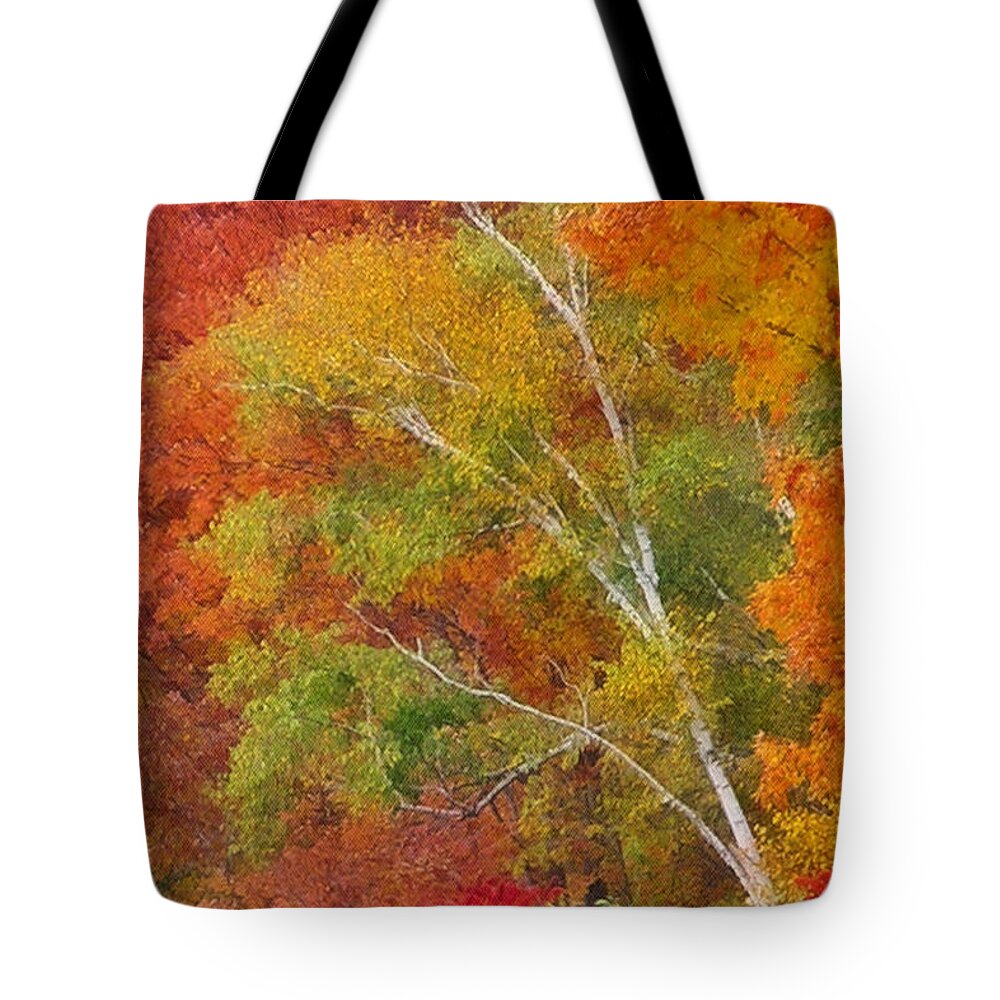 Fall Tote Bag featuring the photograph Fingers of Fall by Carol Randall