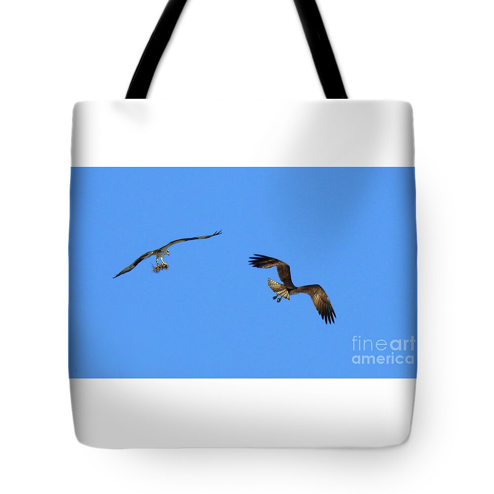  Ospreys Flying Tote Bag featuring the photograph Finishing Touches by Scott Cameron