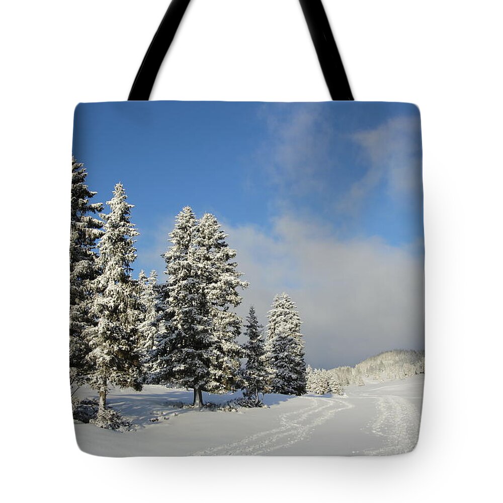 Background Tote Bag featuring the photograph Fir tree in winter, Jura mountain, Switzerland by Elenarts - Elena Duvernay photo