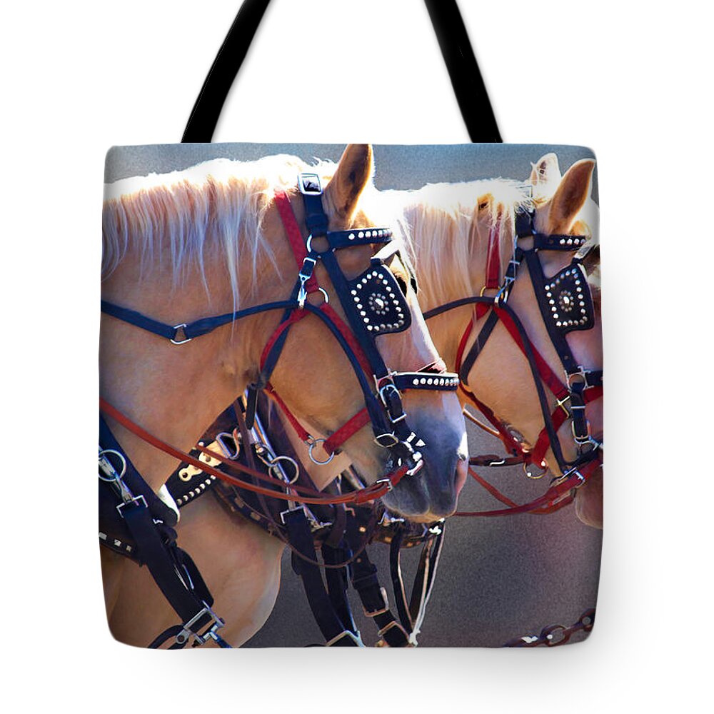 Bonnie Follett Tote Bag featuring the photograph Fire Horses by Bonnie Follett