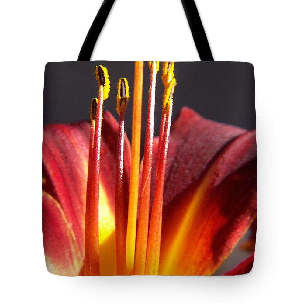 Fire Lily Tote Bag featuring the photograph Fire Lily 1 by Amy Fose