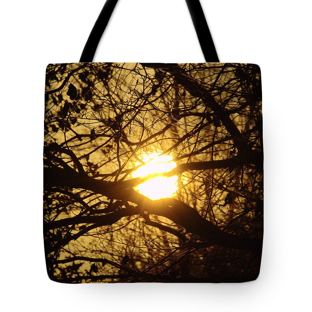 Sun Tote Bag featuring the photograph Fire Nest by Adrian Wale