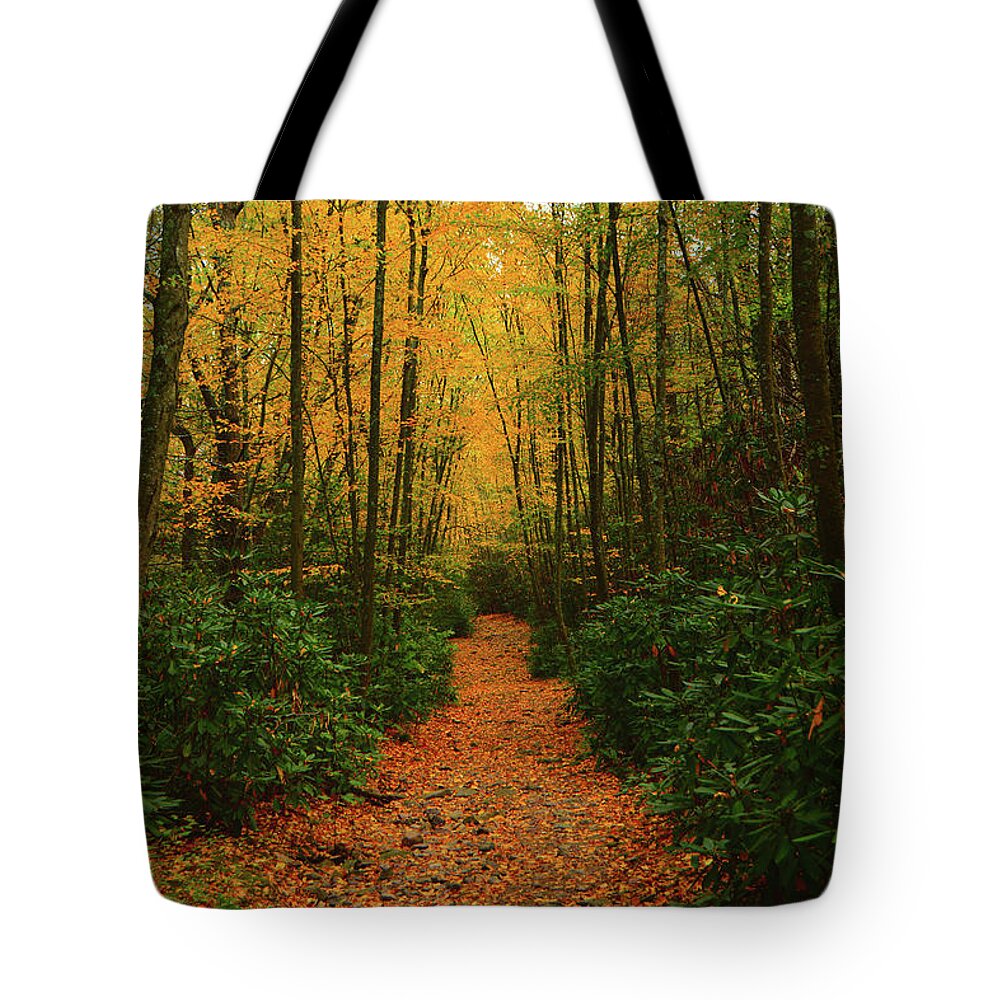 Fire Road Up Mount Minsi Tote Bag featuring the photograph Fire Road Up Mount Minsi 2 by Raymond Salani III