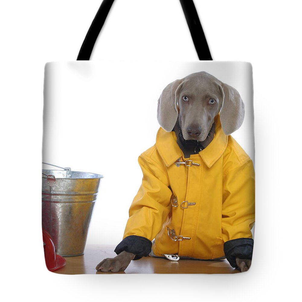Weimaraner Tote Bag featuring the photograph Firedog by Nancy Ingersoll