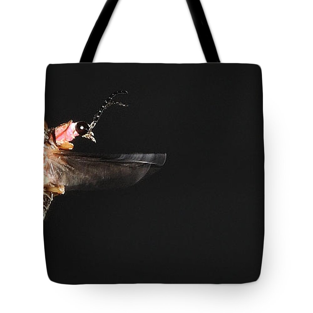 Firefly Tote Bag featuring the photograph Firefly In Flight by Mark Fuller