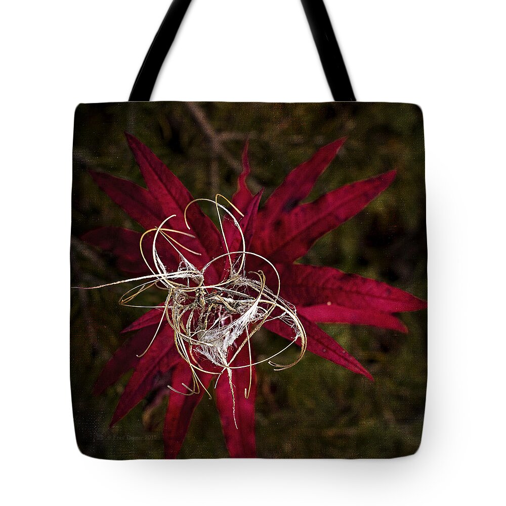 Wildflower Tote Bag featuring the photograph Fireweed Seed by Fred Denner