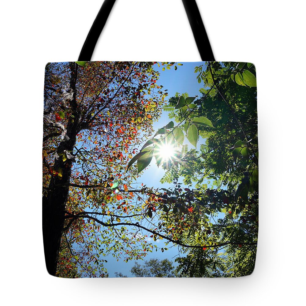 Fall Tote Bag featuring the photograph First Color of Fall by Katy Hawk