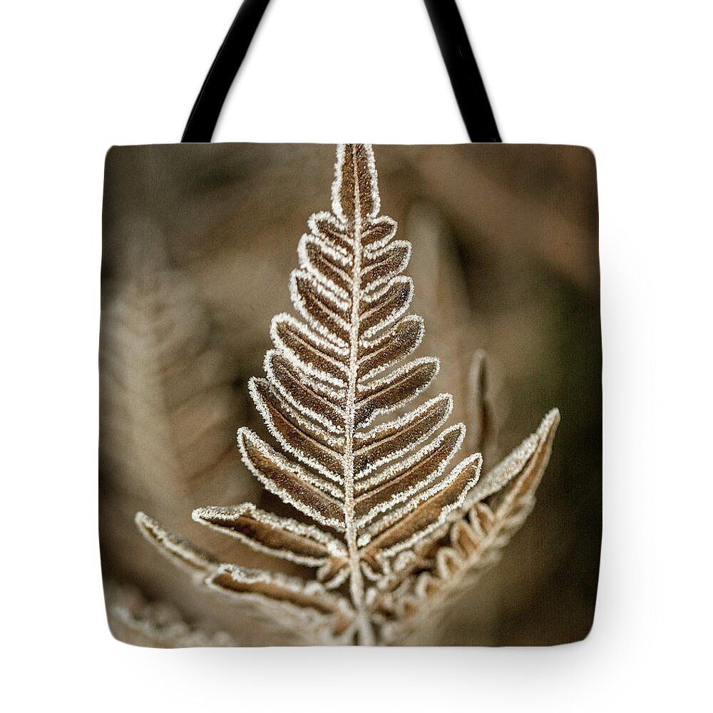 Frost Tote Bag featuring the photograph First Frost by Jaki Miller