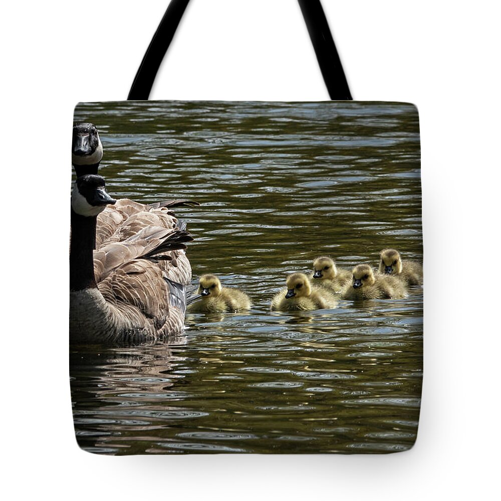 Canada Goose Tote Bag featuring the photograph First Outing by Inge Riis McDonald