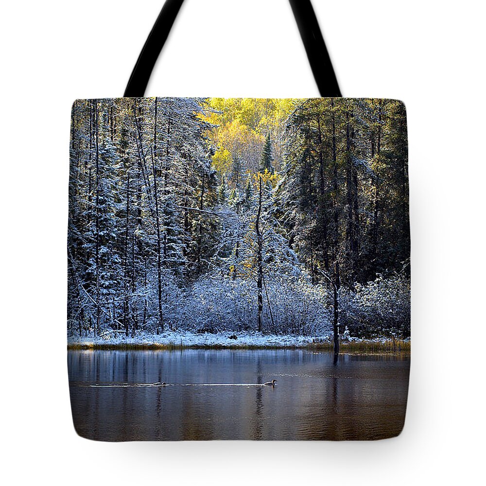 Canada Tote Bag featuring the photograph First Snow by Doug Gibbons