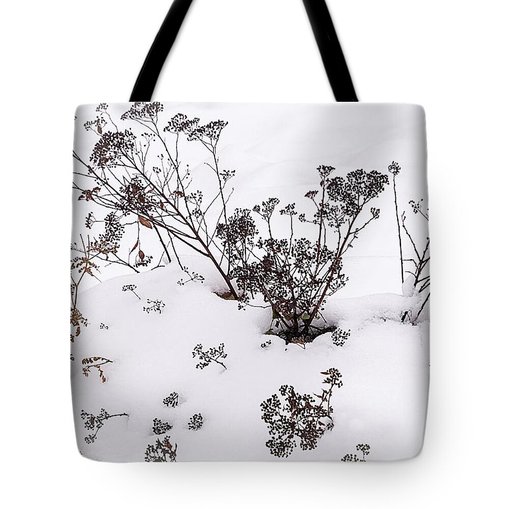 Nature Tote Bag featuring the photograph First Snow by Robert Mitchell