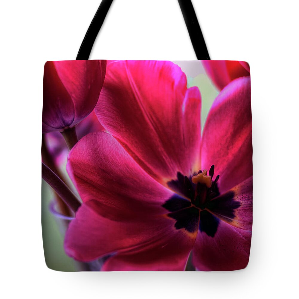 Hdr Tote Bag featuring the photograph First to Wake by Brad Granger