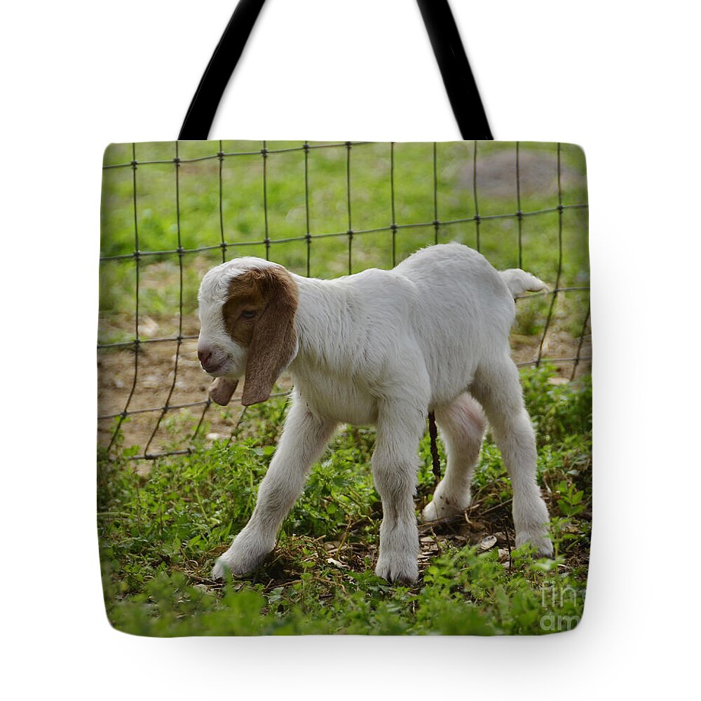 New Tote Bag featuring the photograph First Twin by Debby Pueschel