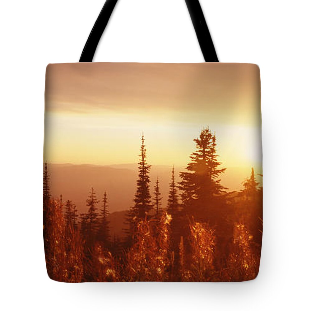 Photography Tote Bag featuring the photograph Firweed At Sunset, Whitefish, Montana by Panoramic Images