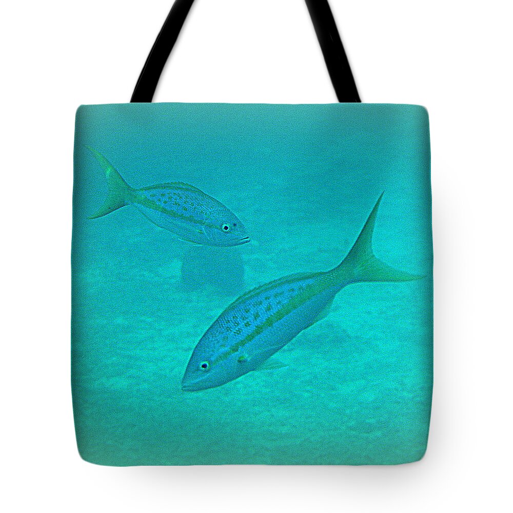 Ocean Fish Tote Bag featuring the photograph Fish Eye View by Kimberly Woyak