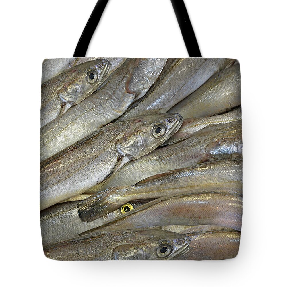 Fish Tote Bag featuring the photograph Fish Eyes by Joe Bonita