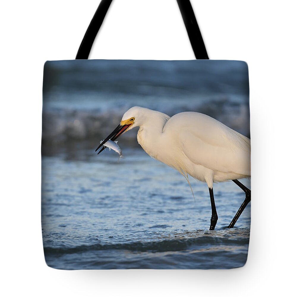 Bird Tote Bag featuring the photograph Fish for Breakfast by Artful Imagery