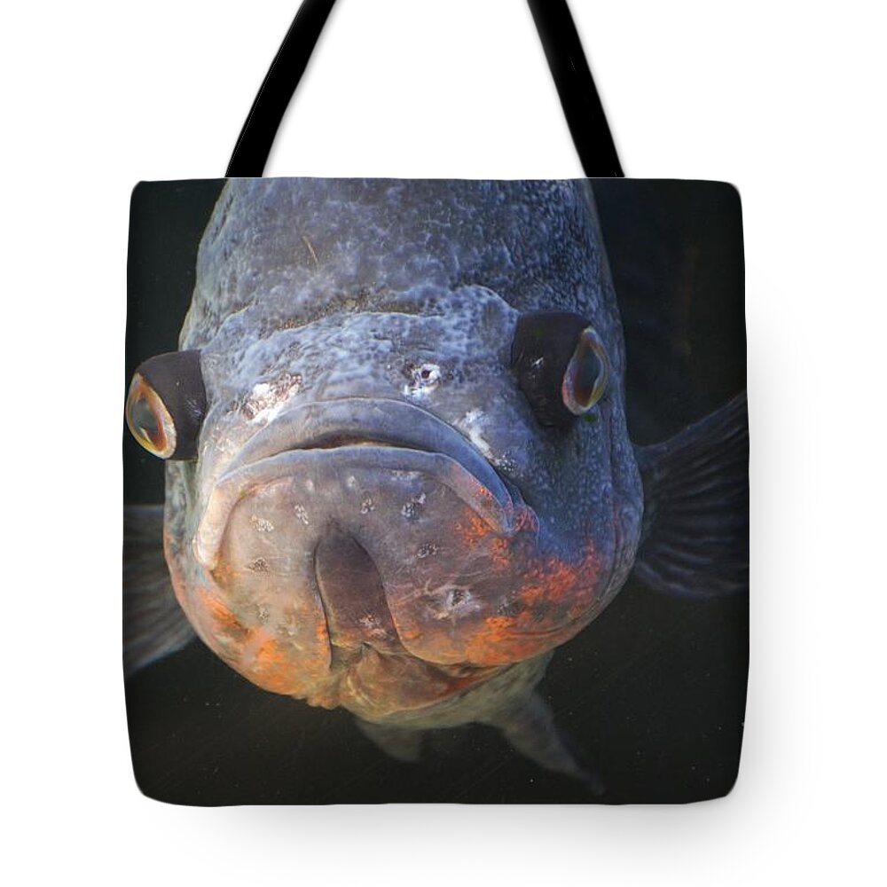 Fish Frown Tote Bag