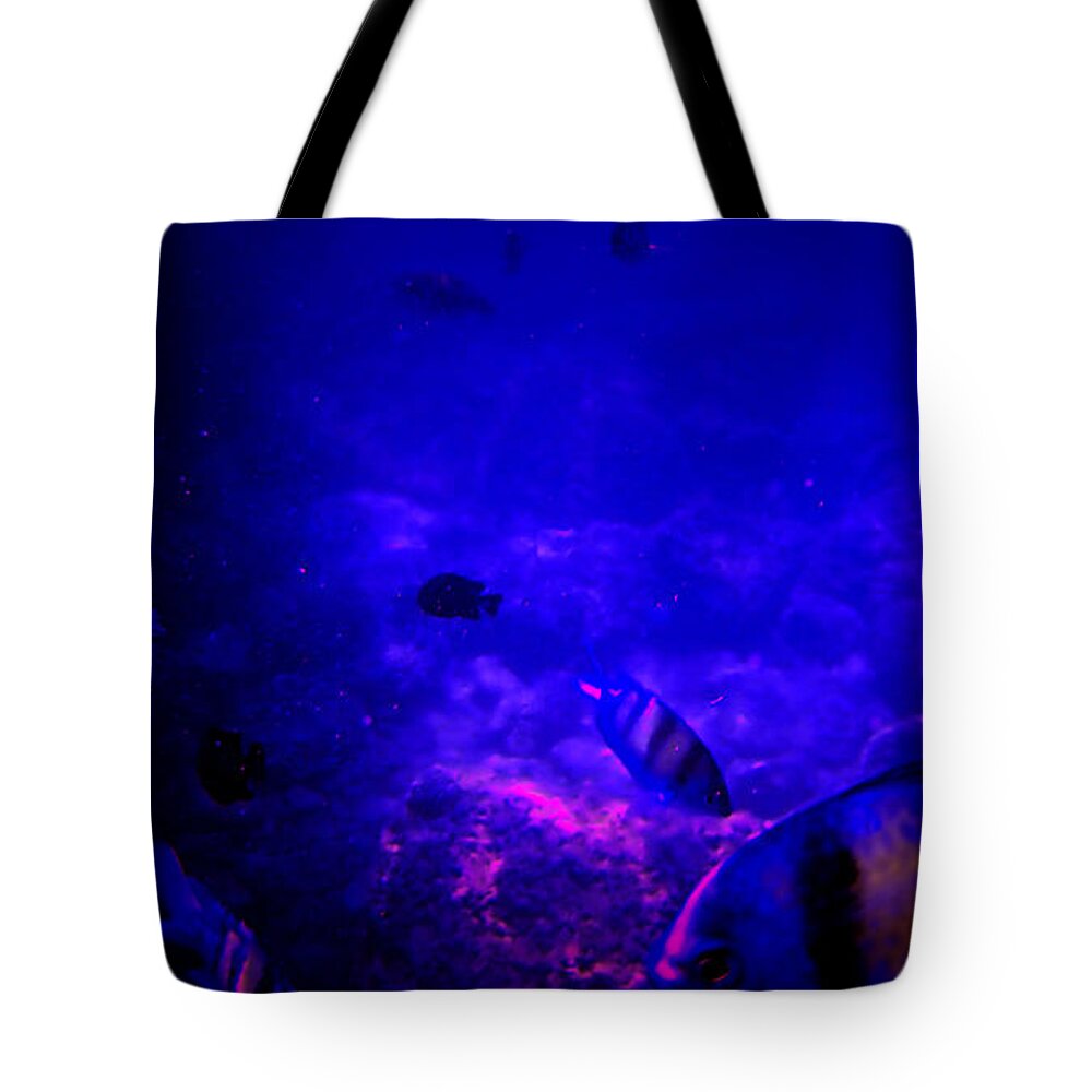 Fish Tote Bag featuring the photograph Fish Tank Dark by Michael Blaine