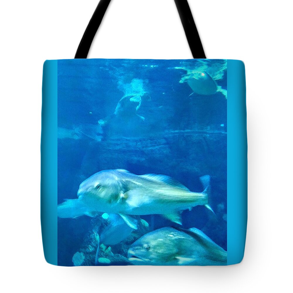 Sea Life Tote Bag featuring the photograph Fish tank by Suzanne Berthier