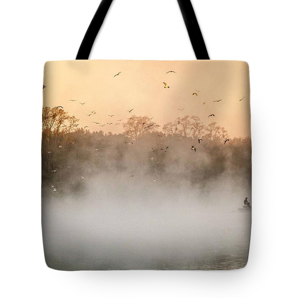 Morning Tote Bag featuring the photograph Fisher's Delight by Janet Kopper