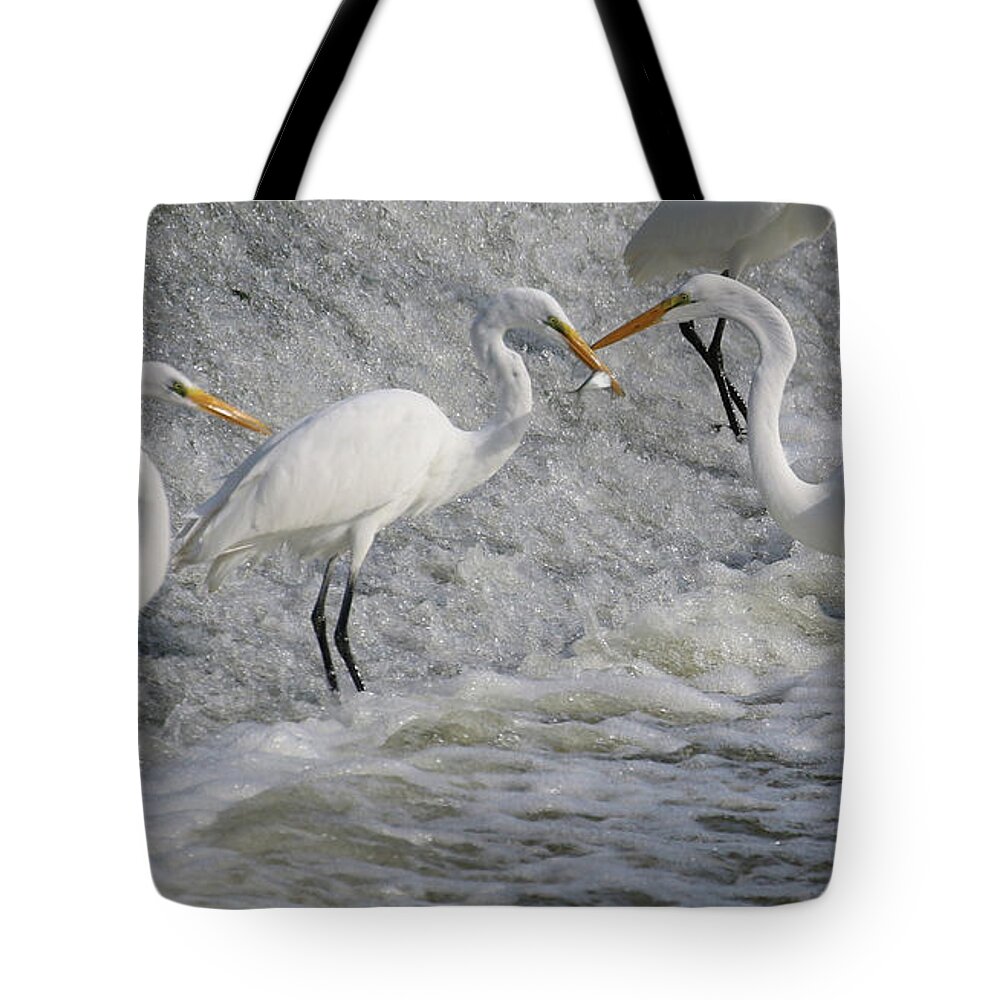 Great White Egret Tote Bag featuring the photograph Fishing at the Falls 2985 by Jack Schultz
