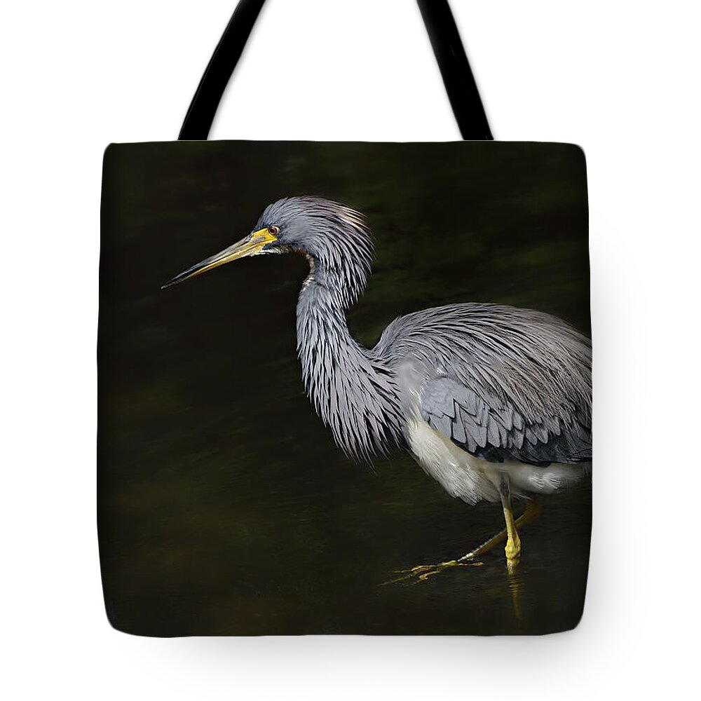 Tricolor Heron Tote Bag featuring the photograph Fishing at the Pond by Carol Eade