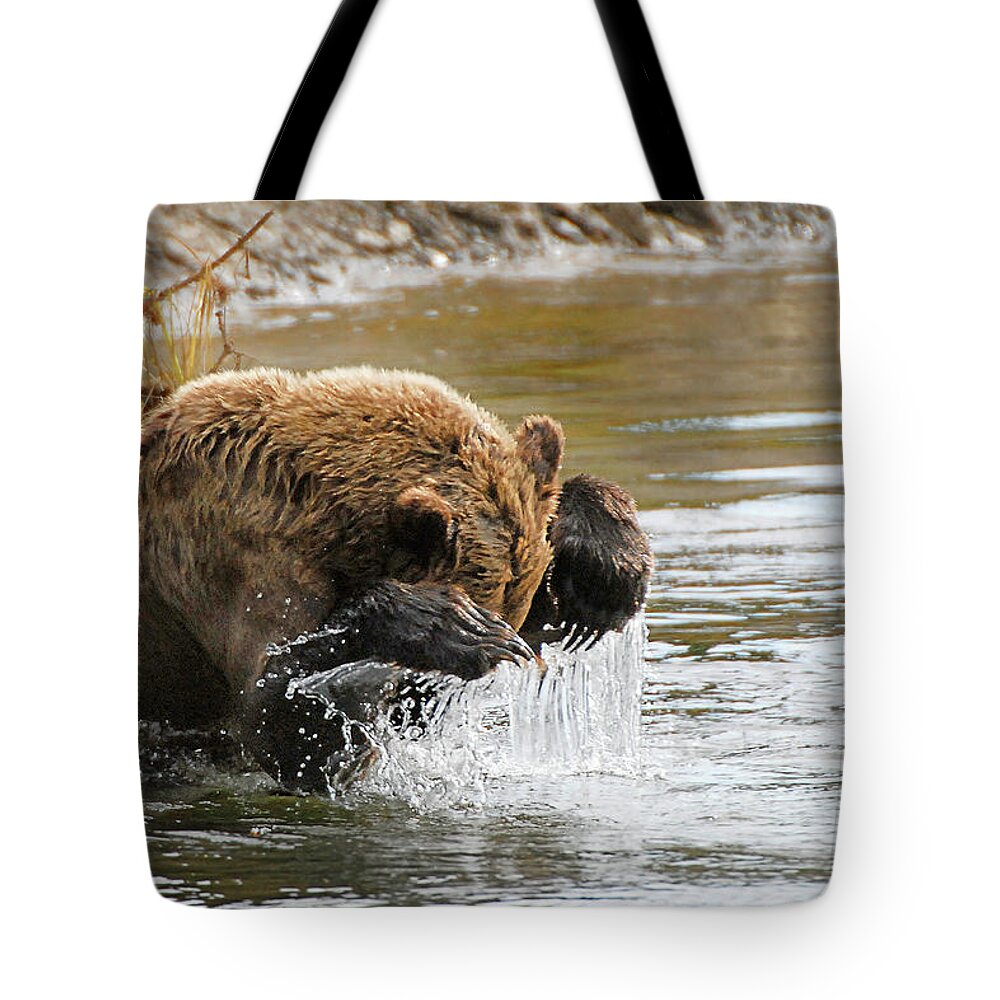 Fishing Tote Bag featuring the photograph Fishing Grizzly Bear by Ted Keller