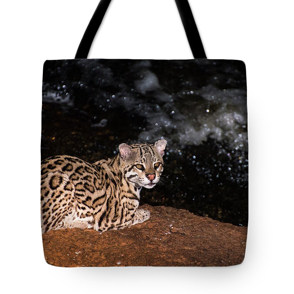 Ocelot Tote Bag featuring the photograph Fishing in the Stream by Alex Lapidus