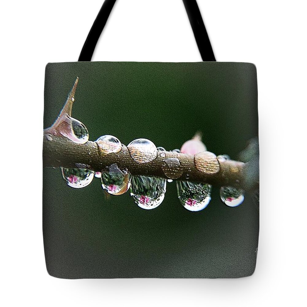 Raindrops Tote Bag featuring the photograph Five droplets by Yumi Johnson