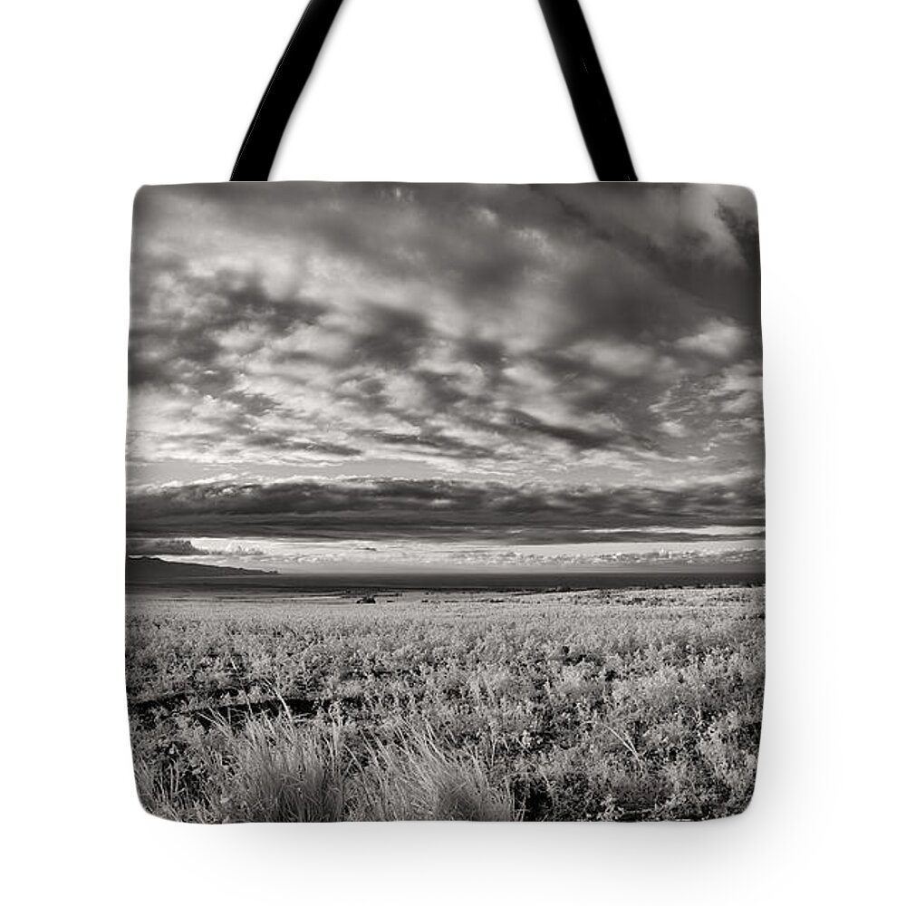 Harvest Tote Bag featuring the photograph Fla-160225-nd800e-381pa85-ir-cf by Fernando Lopez Arbarello