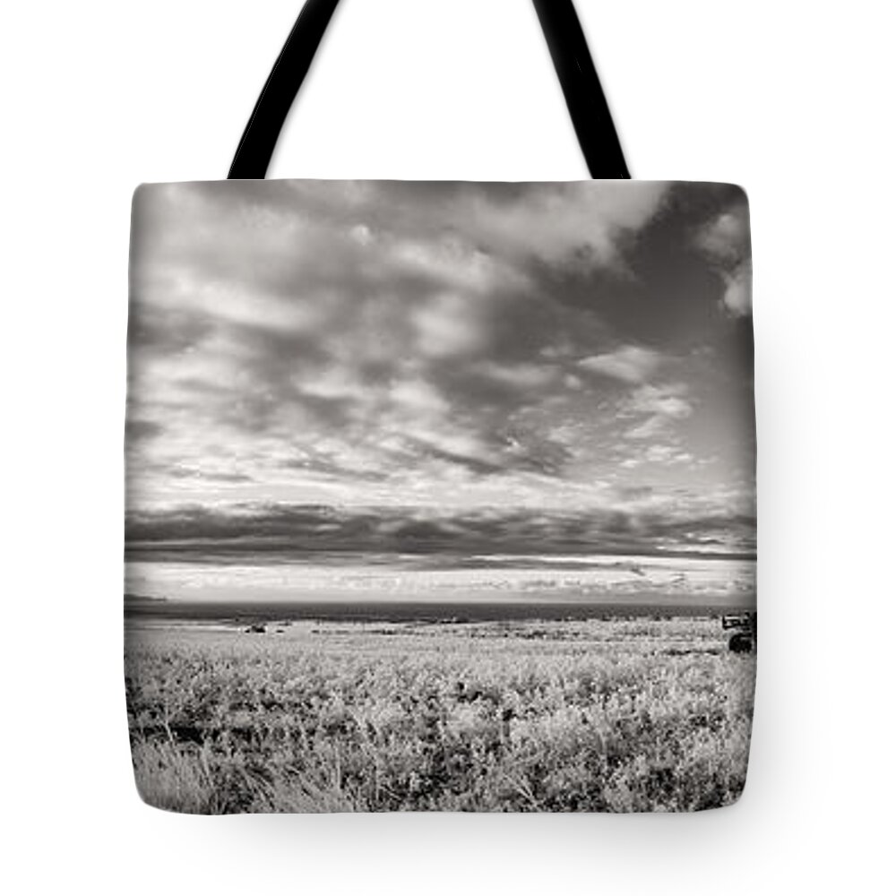 Harvest Tote Bag featuring the photograph Fla-160225-nd800e-388pa91-ir-cf by Fernando Lopez Arbarello