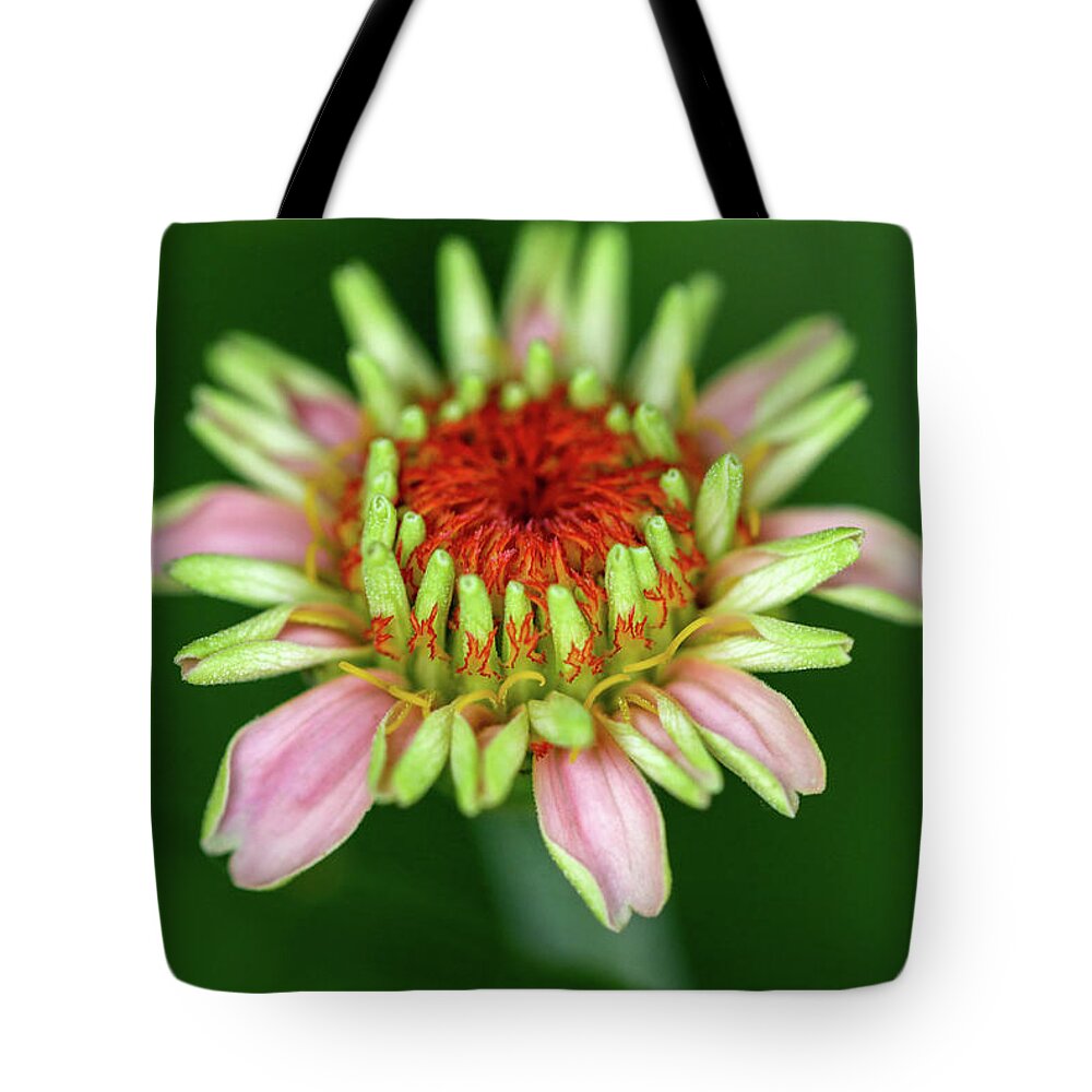 Flower Tote Bag featuring the photograph Flamed Flower by Mary Anne Delgado