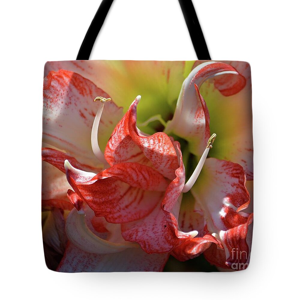 Flower Tote Bag featuring the photograph Flamenco by Angela Murray