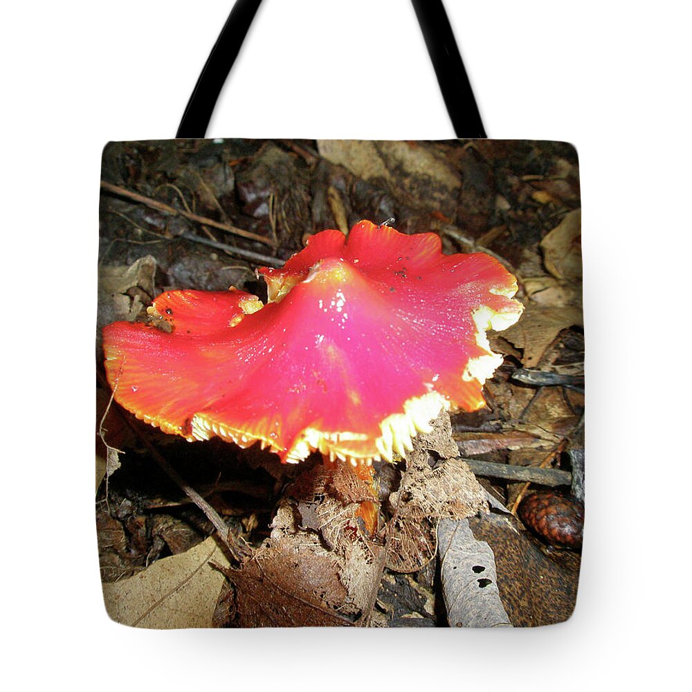 Mushroom Tote Bag featuring the photograph Flamenco Mushroom in Red by Carol Senske