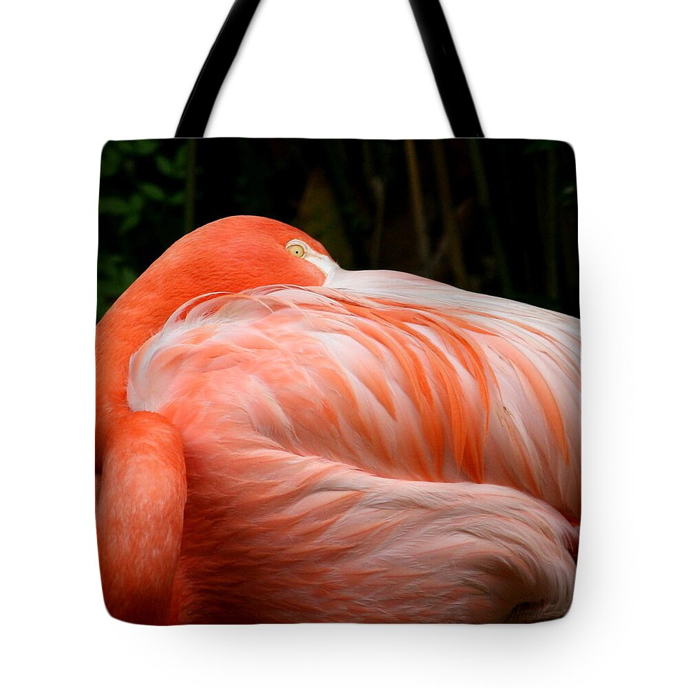 Animals Tote Bag featuring the photograph Flaming o by Cathy Harper