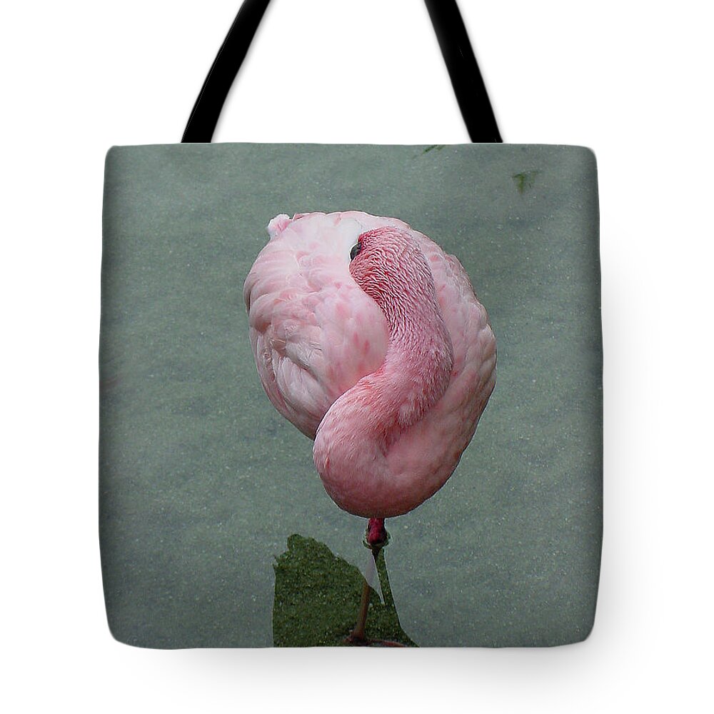 Flamingo Tote Bag featuring the photograph Flamingo Feathers by Shirley Heyn
