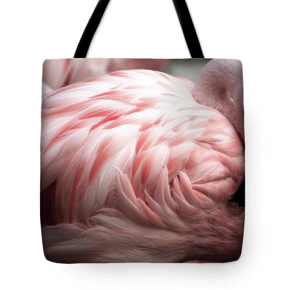 Flamingo Tote Bag featuring the photograph Flamingo Memphis Zoo by Veronica Batterson