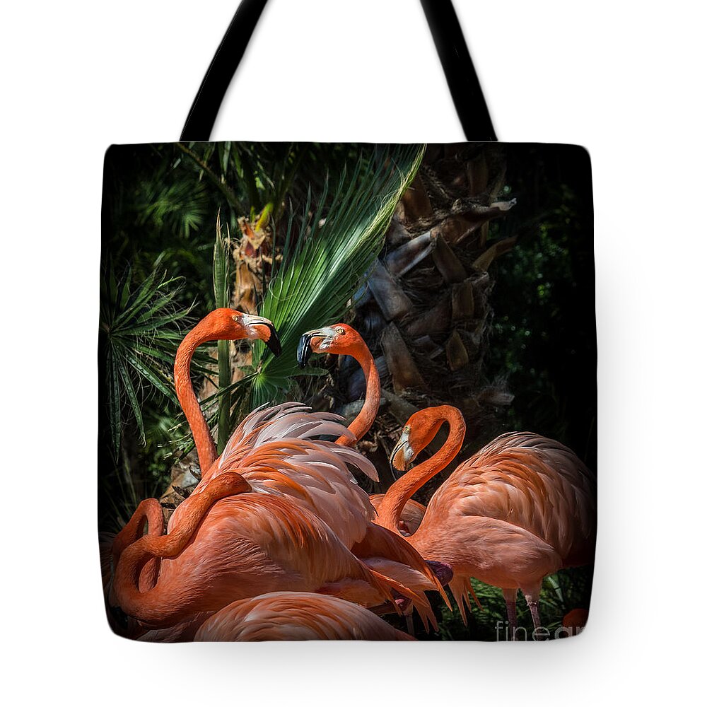 Chinese Fan Palm Tote Bag featuring the photograph Flamingo Moves by Liesl Walsh