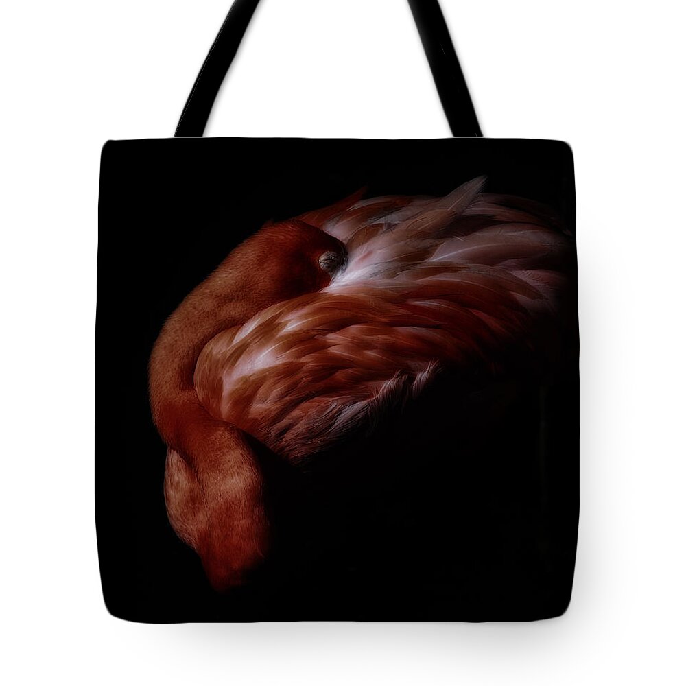 Flamingo Tote Bag featuring the photograph Flamingo by Phil Abrams