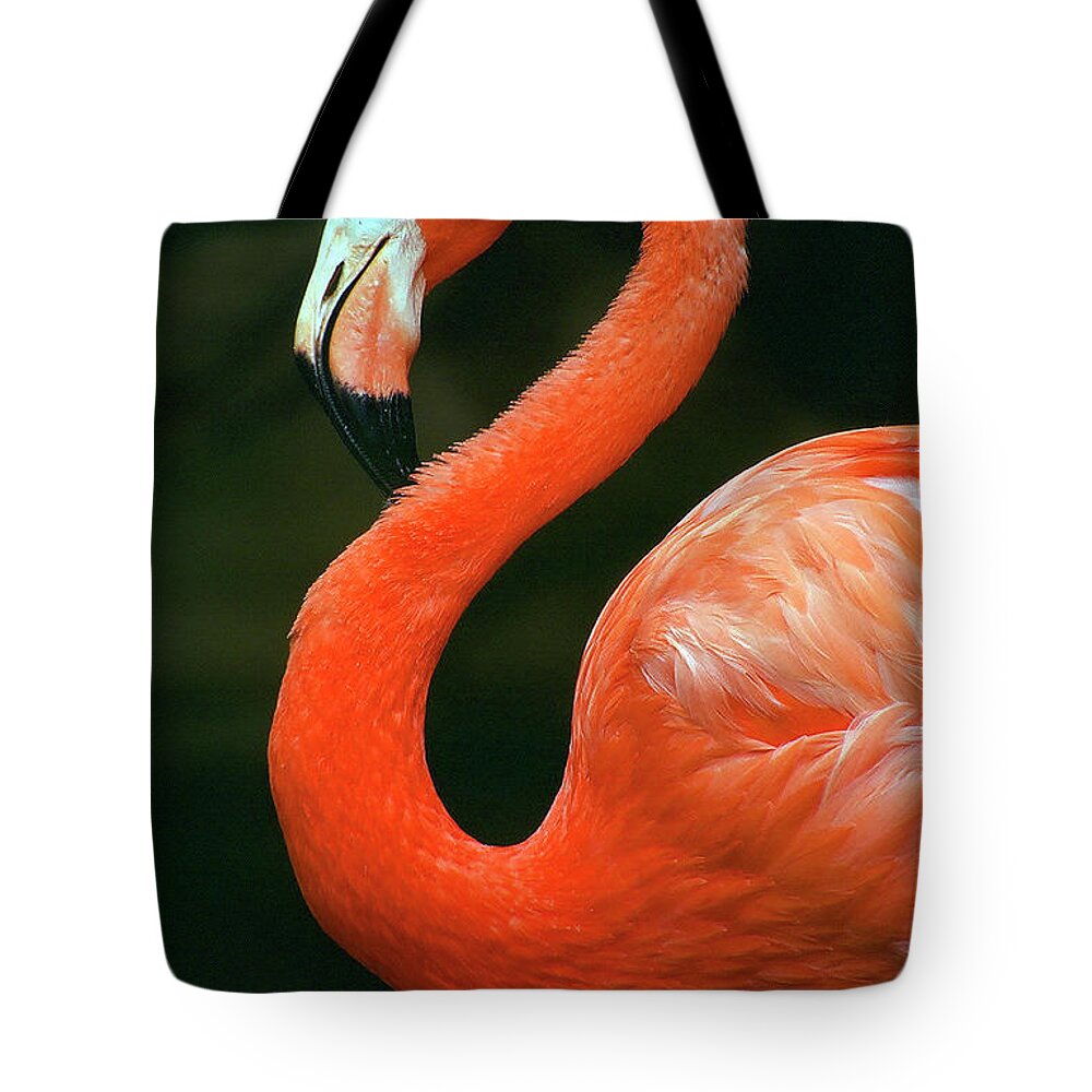 Flamingo Tote Bag featuring the photograph Flamingo by Ted Keller