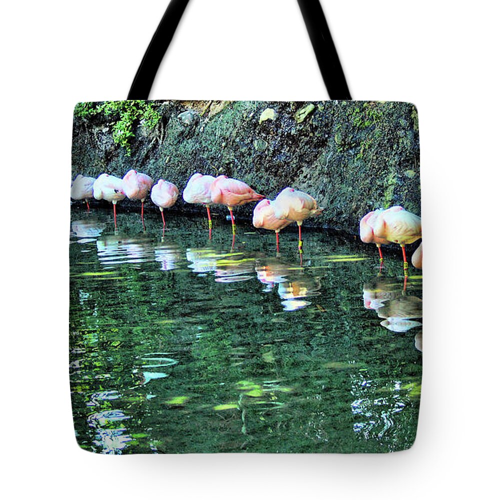 Flamingos Tote Bag featuring the photograph Flamingo Nap Time by Nora Martinez