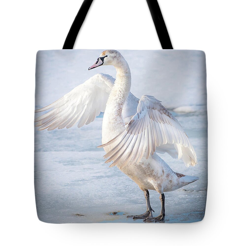 Swan Tote Bag featuring the photograph Flappin... by Ian Sempowski